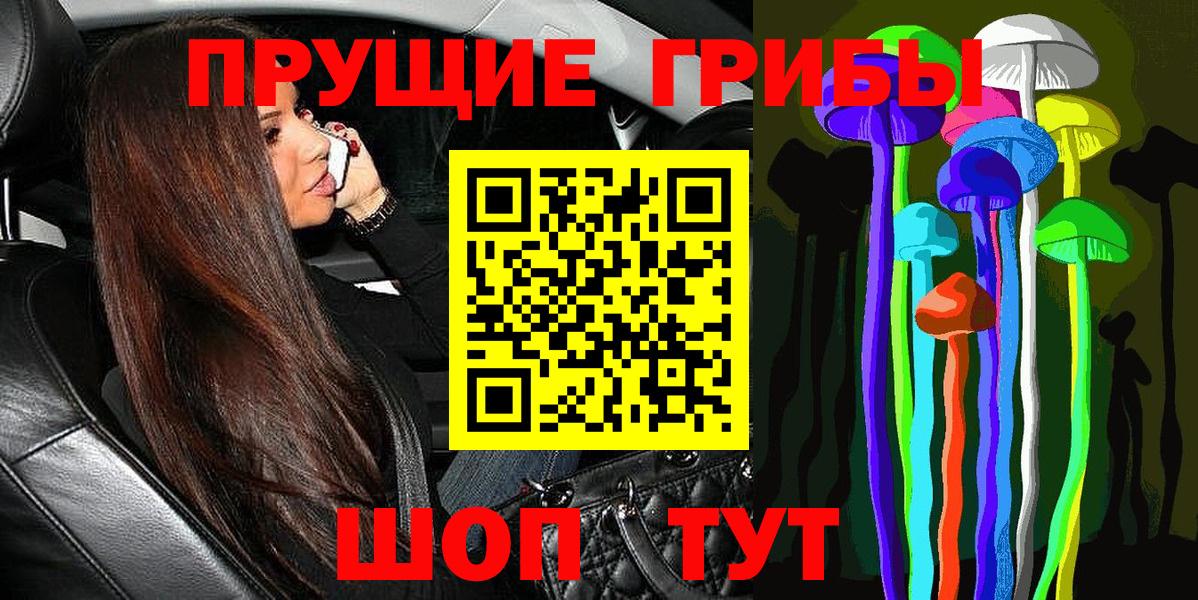 Псилоцибиновые грибы MAGIC MUSHROOMS  Псилоцибиновые грибы мицелий  Вход с VPN  Тулун 